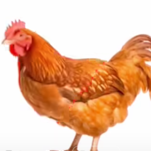 Inchiriaza-Masini-Ieftin